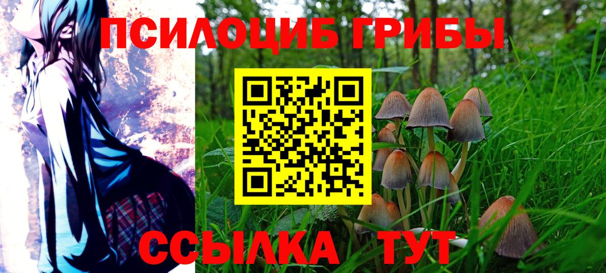 Галлюциногенные грибы мухоморы Железногорск